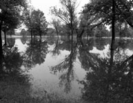 photo of a flooded golf course