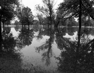 photo of flooded golf course